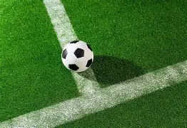 法国队在足球职业联赛中积极备战的是谁